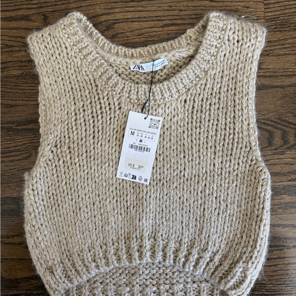 Zara Tan and Gold Crew Neck Sweater Chunky Knit Cozy